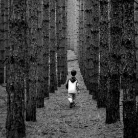 Elliot In The Woods By Paula