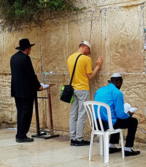 Together, from Different Worlds. by Barry Solman