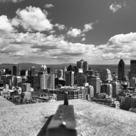 Aiming For Montreallcc