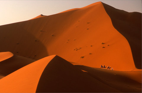 An early morning jaunt in the Sahara (natural- no PS) by Frederic Hore