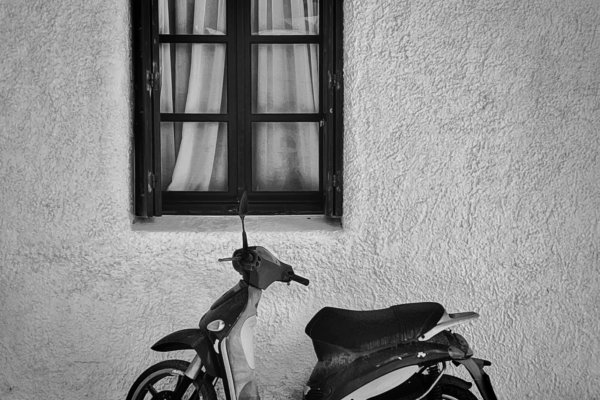 Image by Cynthia Magliocco