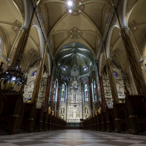 Image by Silvio Marchei
