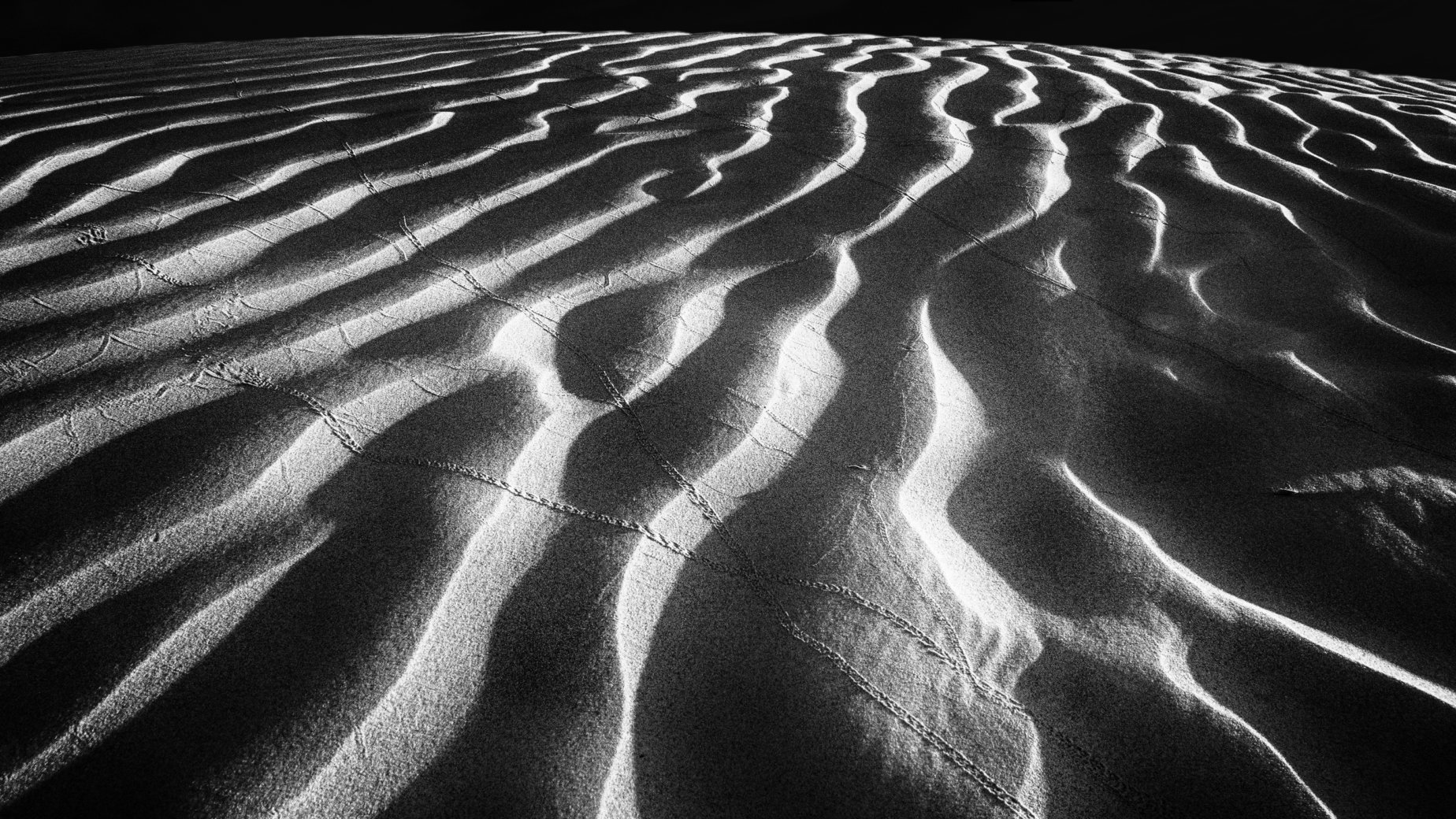 Night over Saskatchewan Dunes by Marianna Armata