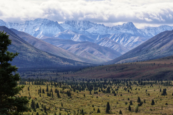 Image by Debbie Wright