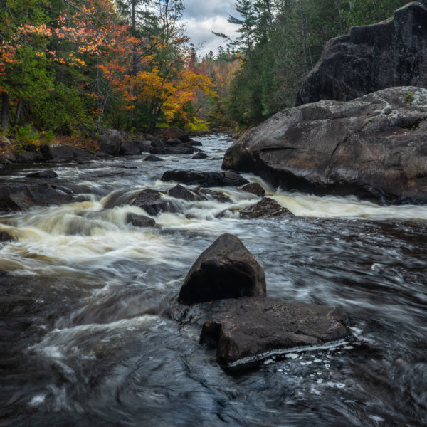 Image by Joe Hanson