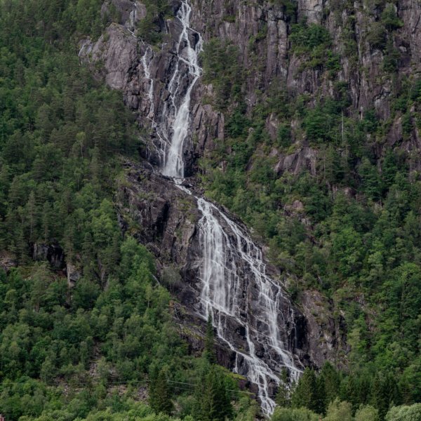 Image by Norm Horner