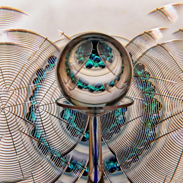Image by Cynthia Magliocco