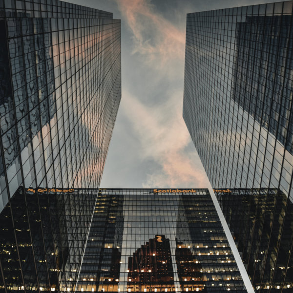 Image by Demetra Kamitsis