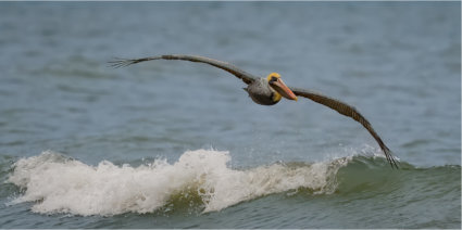 Image by Bryan Fritz