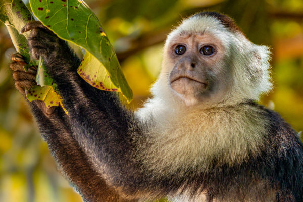 Image by Alain Lamarre