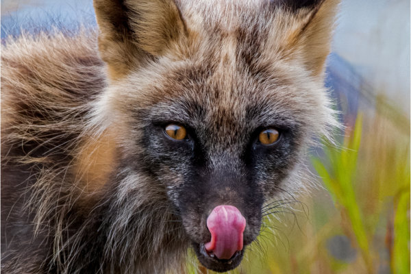 Image by Bryan Fritz