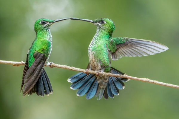 Image by Marianna Armata