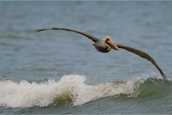 Image by Bryan Fritz