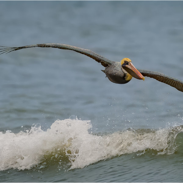 Image by Bryan Fritz