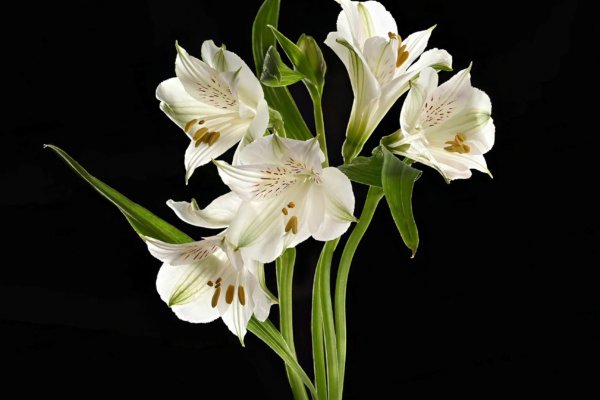 Image by Peter Wordsworth