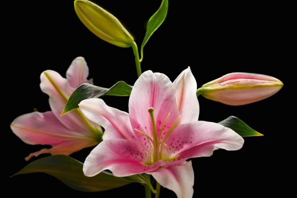 Image by Peter Wordsworth