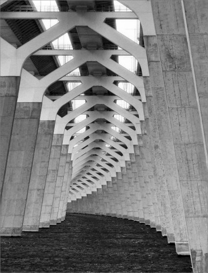 Image by Peter Gawel