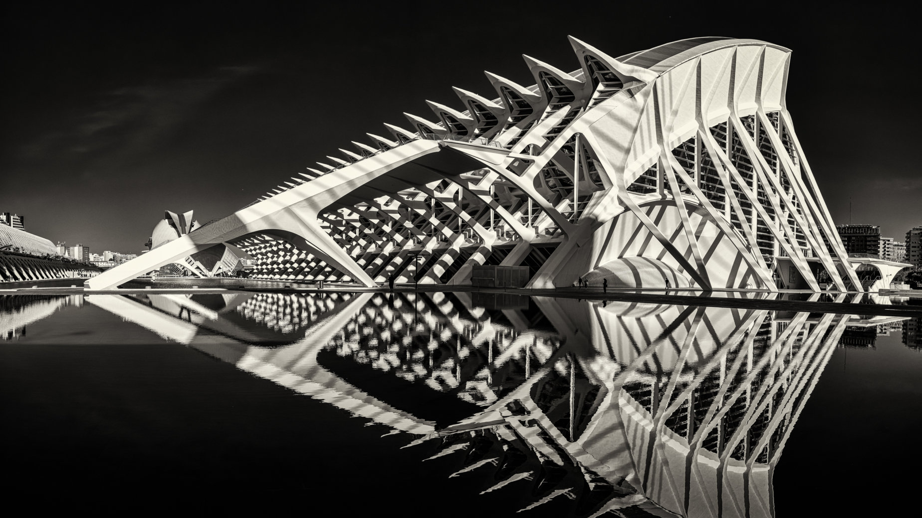 Ciudad de las Artes y las Ciencias, Valencia, Spain by Guy P Larin