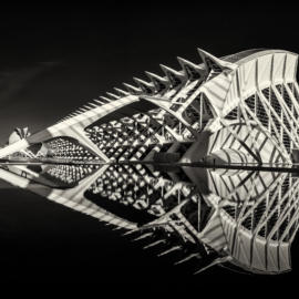 Guy P Larin Ciudad de las Artes y las Ciencias Valencia Spain