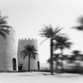 Lucia Griffin small desert oasis