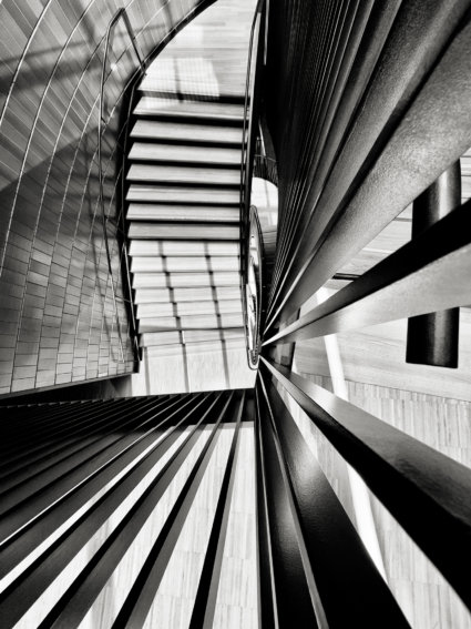 Image by Patricia Morris