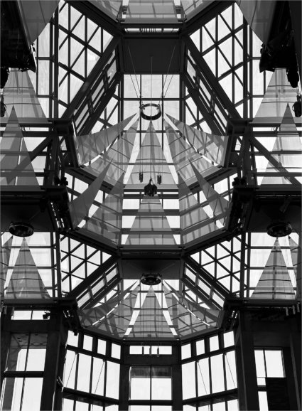 Image by Jeanie Trubiano