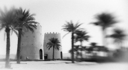 Image by Lucia Griffin