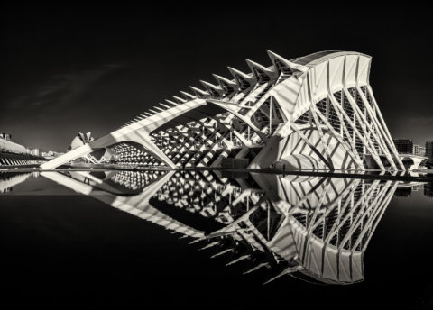 Ciudad de las Artes y las Ciencias, Valencia, Spain by Guy P Larin