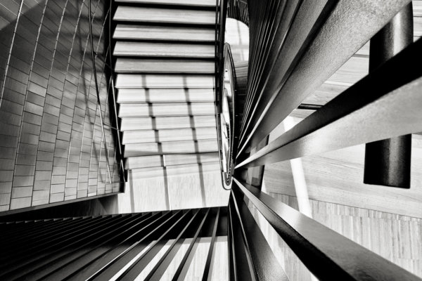 Image by Patricia Morris