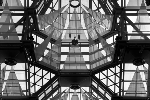 Image by Jeanie Trubiano