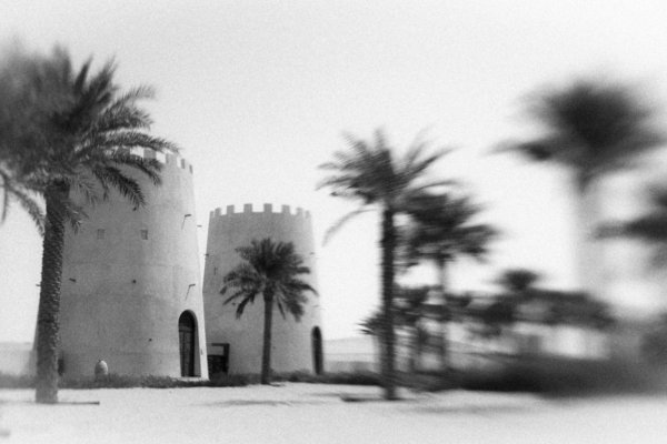 Image by Lucia Griffin