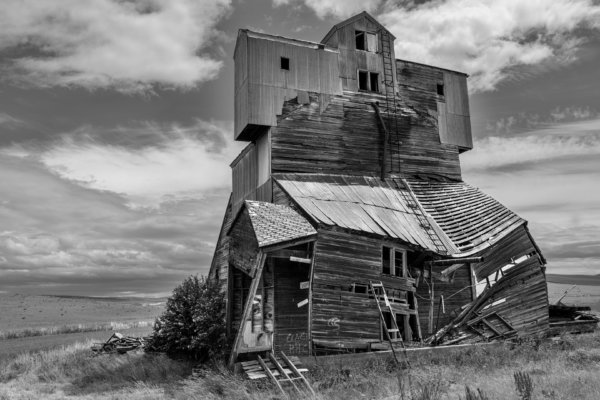 Image by Jane Melrose