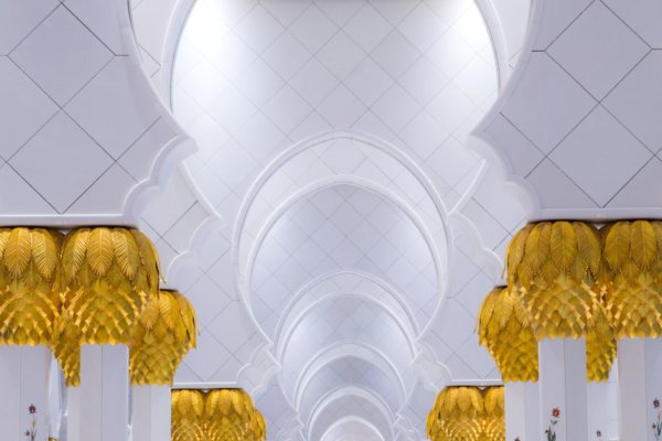 Image by Lucia Griffin