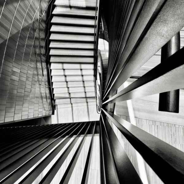 Image by Patricia Morris