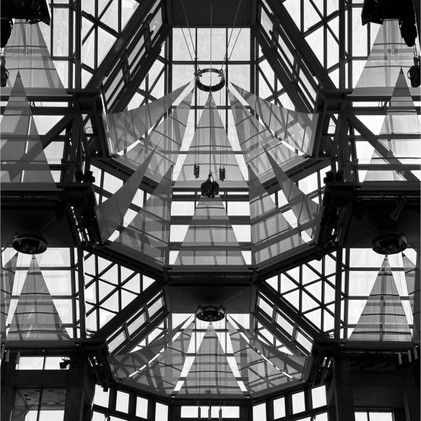 Image by Jeanie Trubiano