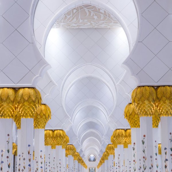 Image by Lucia Griffin