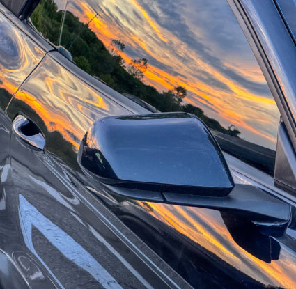 Image by Patricia Morris