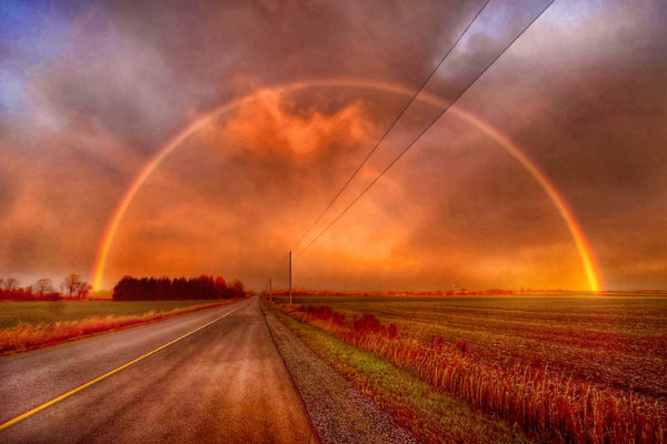 Image by Patricia Morris