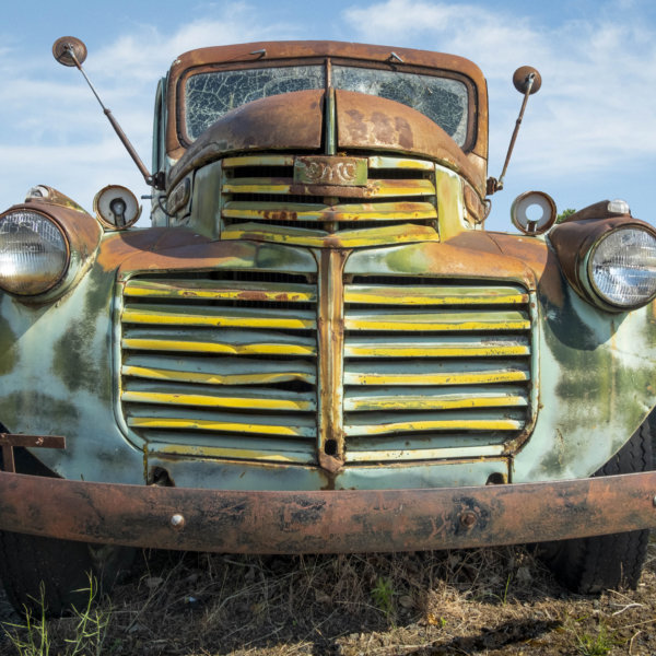 Image by Jane Melrose