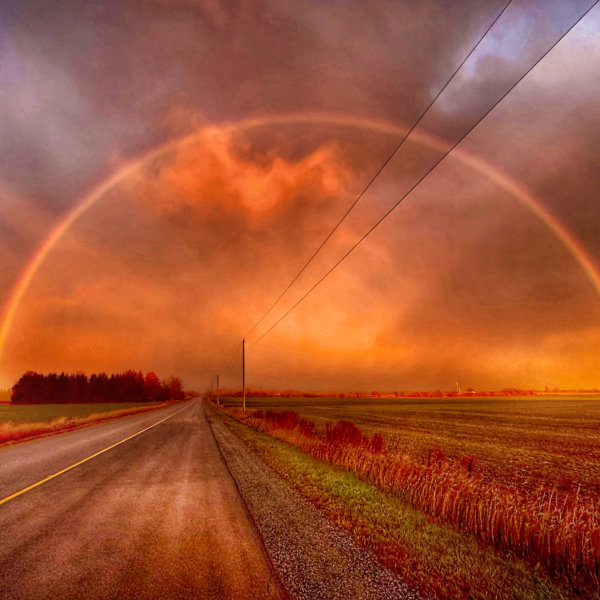 Image by Patricia Morris