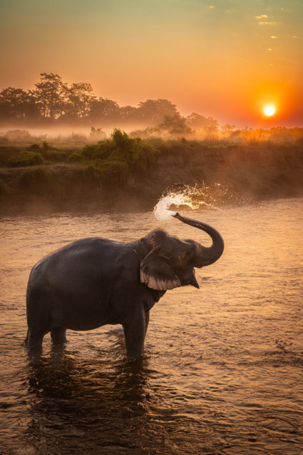 Image by Guy P Larin