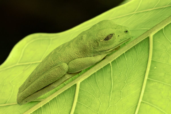 Image by Alain Lamarre