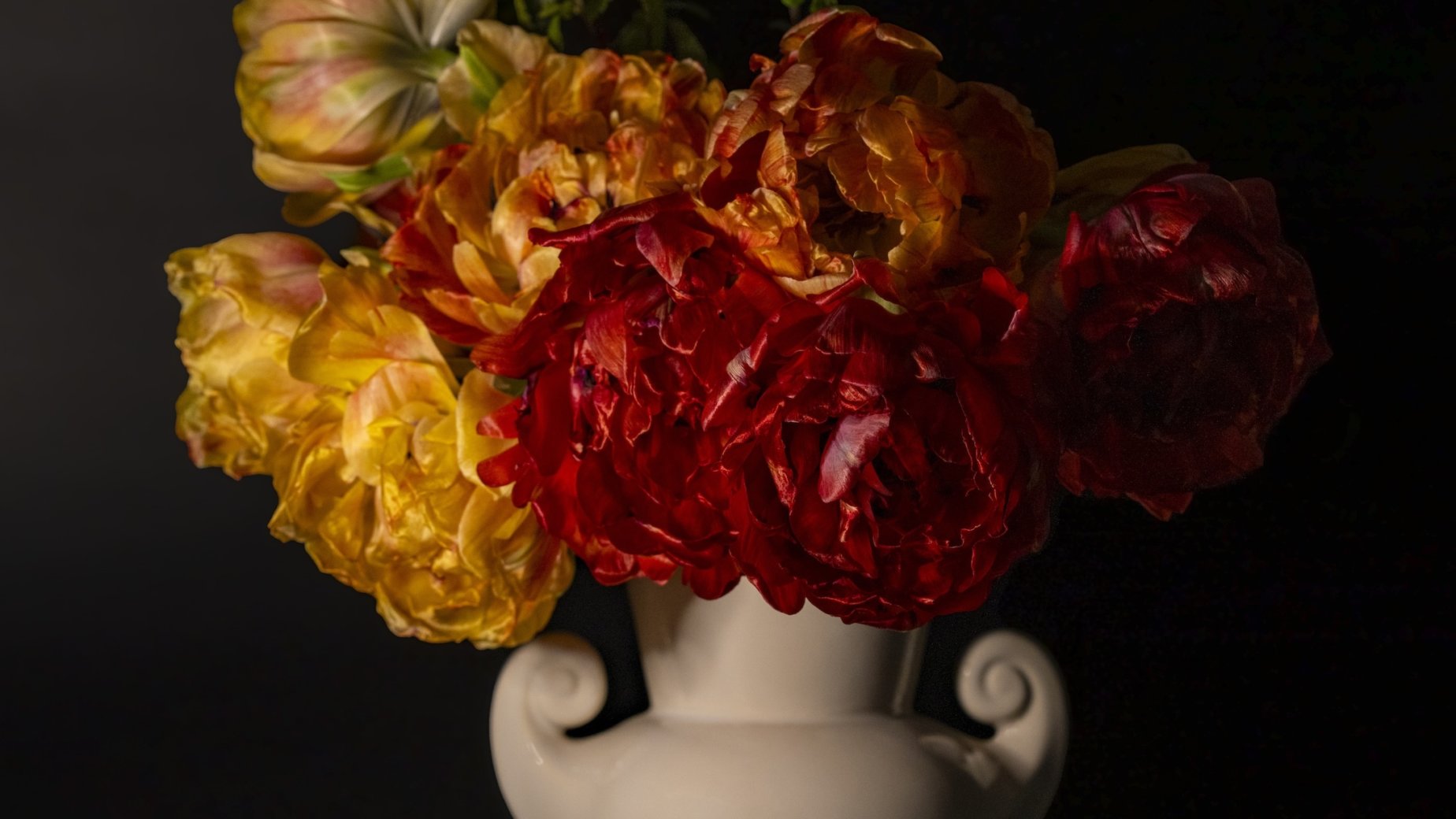 Tulips by Elaine Chubry