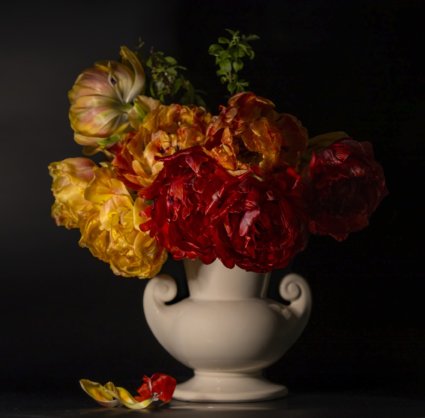 Image by Elaine Chubry