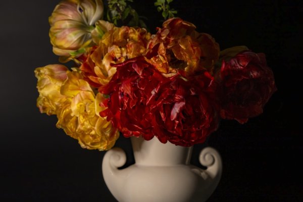 Image by Elaine Chubry
