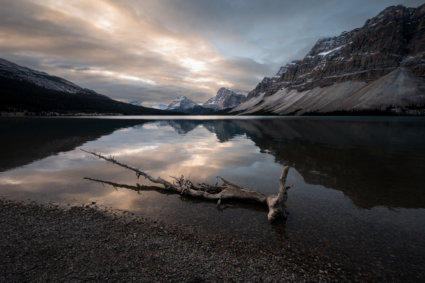 Image by Andreas Orfanos