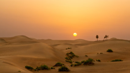 Image by Lucia Griffin