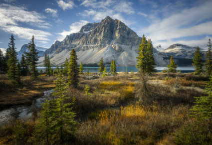 Image by Philip Colet