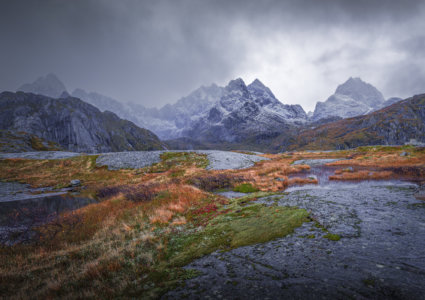 Image by Sasha Sadilova