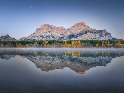 Image by Sasha Sadilova